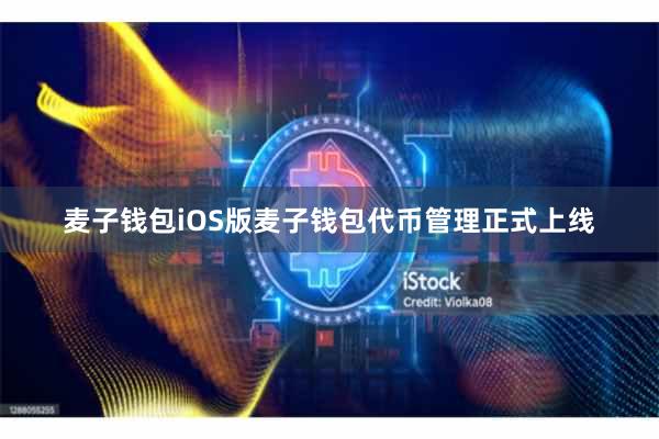 麦子钱包iOS版麦子钱包代币管理正式上线