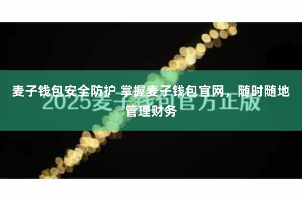 麦子钱包安全防护 掌握麦子钱包官网，随时随地管理财务