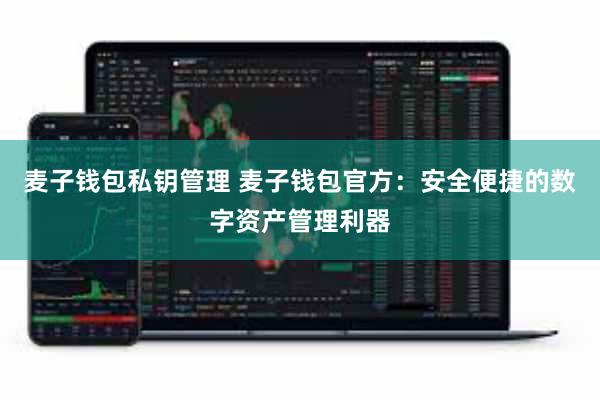 麦子钱包私钥管理 麦子钱包官方：安全便捷的数字资产管理利器