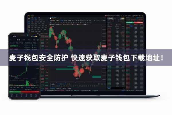 麦子钱包安全防护 快速获取麦子钱包下载地址！