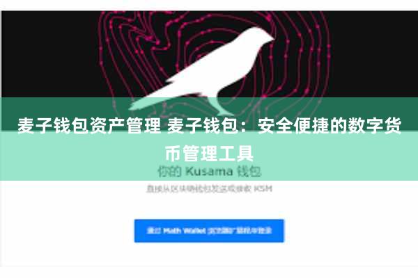 麦子钱包资产管理 麦子钱包：安全便捷的数字货币管理工具