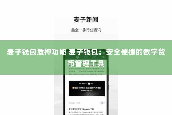 麦子钱包质押功能 麦子钱包：安全便捷的数字货币管理工具