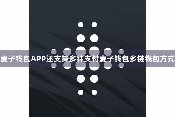 麦子钱包APP还支持多种支付麦子钱包多链钱包方式