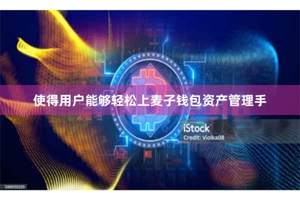 使得用户能够轻松上麦子钱包资产管理手
