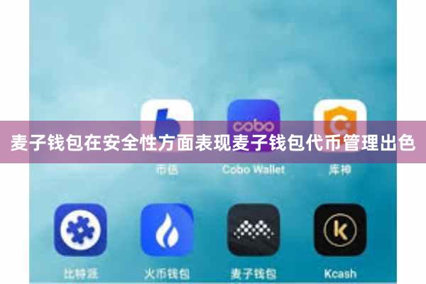 麦子钱包在安全性方面表现麦子钱包代币管理出色