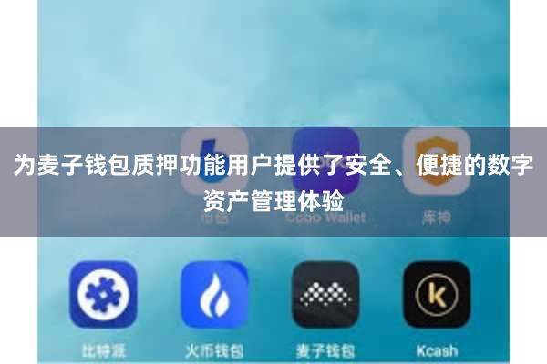 为麦子钱包质押功能用户提供了安全、便捷的数字资产管理体验