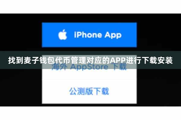 找到麦子钱包代币管理对应的APP进行下载安装
