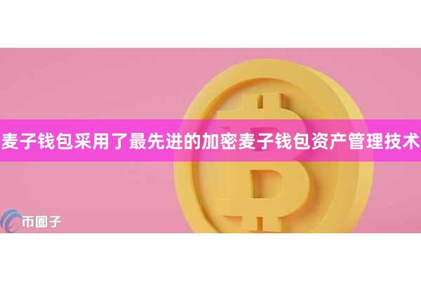 麦子钱包采用了最先进的加密麦子钱包资产管理技术