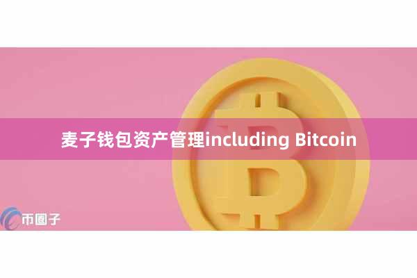 麦子钱包资产管理including Bitcoin