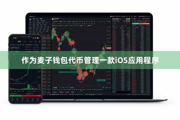 作为麦子钱包代币管理一款iOS应用程序
