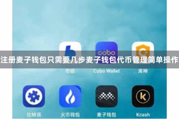 注册麦子钱包只需要几步麦子钱包代币管理简单操作