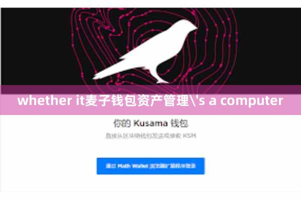 whether it麦子钱包资产管理's a computer