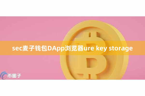sec麦子钱包DApp浏览器ure key storage
