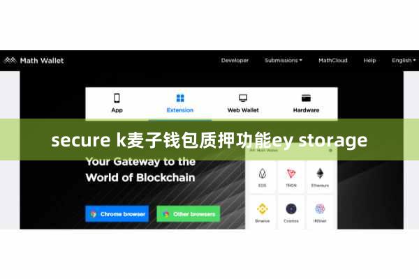 secure k麦子钱包质押功能ey storage