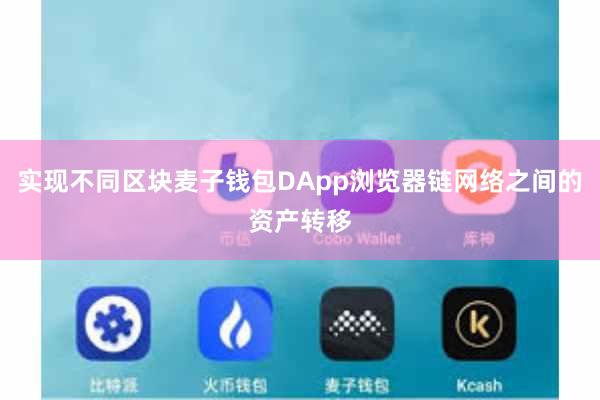 实现不同区块麦子钱包DApp浏览器链网络之间的资产转移