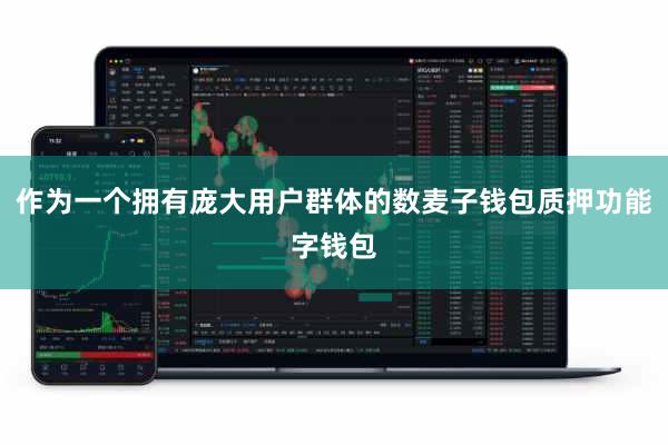 作为一个拥有庞大用户群体的数麦子钱包质押功能字钱包