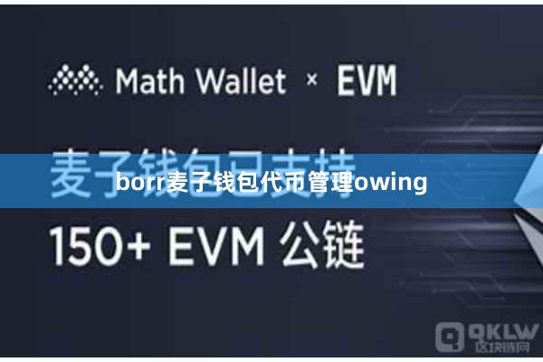 borr麦子钱包代币管理owing