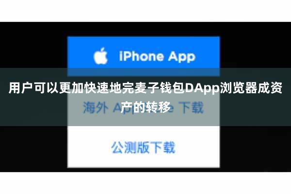 用户可以更加快速地完麦子钱包DApp浏览器成资产的转移