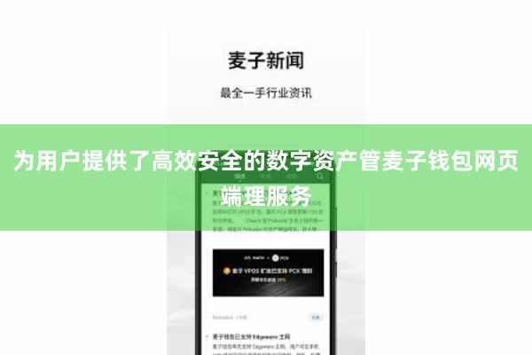 为用户提供了高效安全的数字资产管麦子钱包网页端理服务