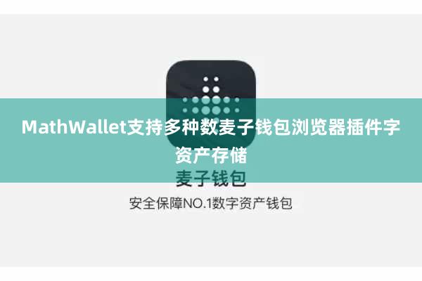 MathWallet支持多种数麦子钱包浏览器插件字资产存储