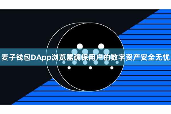 麦子钱包DApp浏览器确保用户的数字资产安全无忧