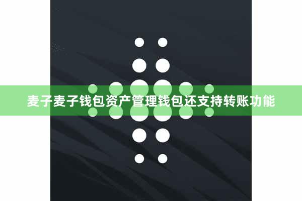 麦子麦子钱包资产管理钱包还支持转账功能